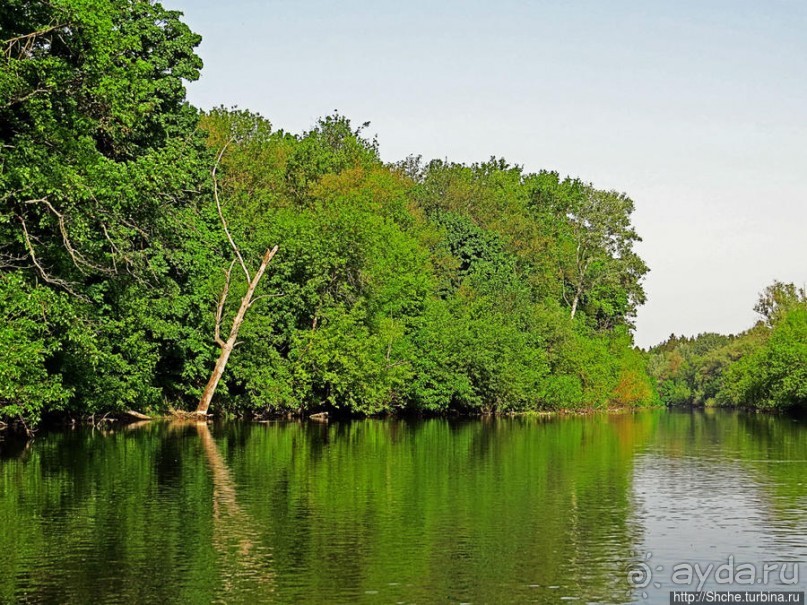 Двое в лодке