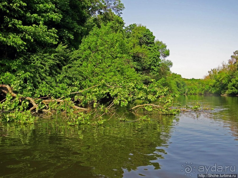 Двое в лодке