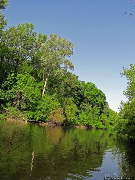 Двое в лодке