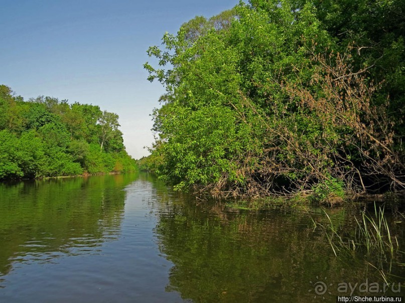 Двое в лодке