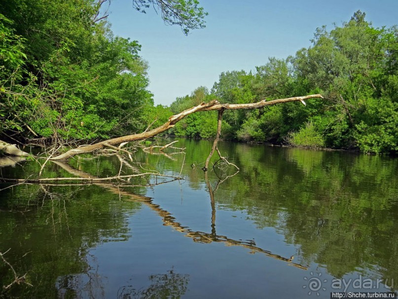 Двое в лодке