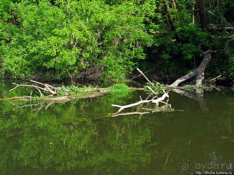Двое в лодке