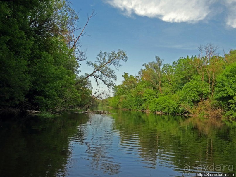 Двое в лодке