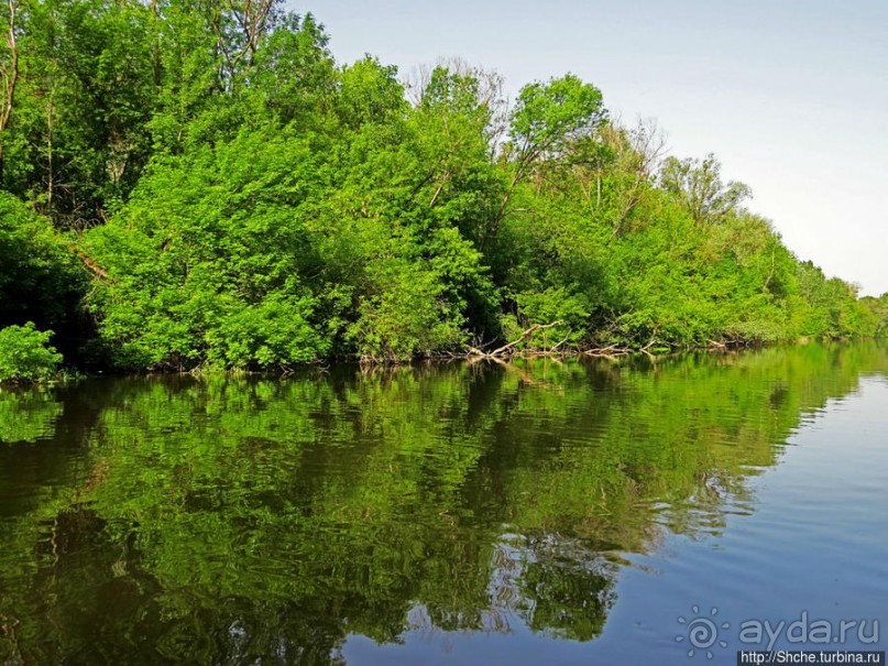 Двое в лодке