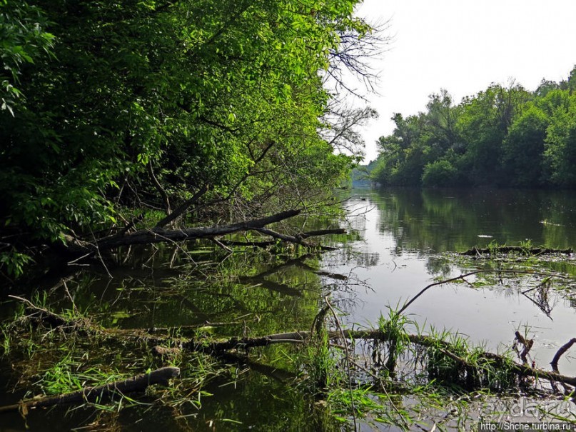 Двое в лодке