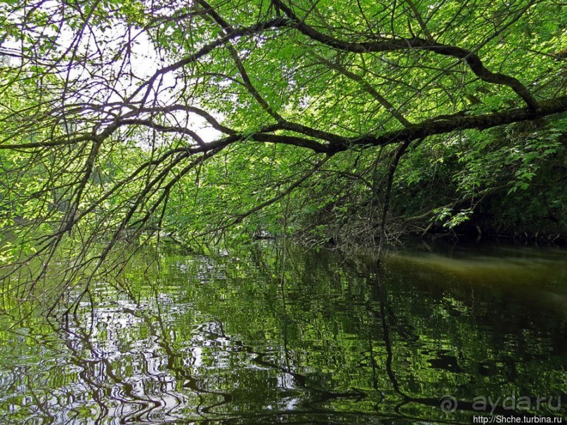 Двое в лодке