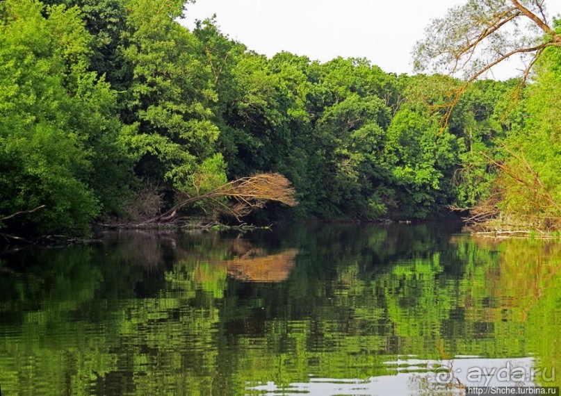 Двое в лодке