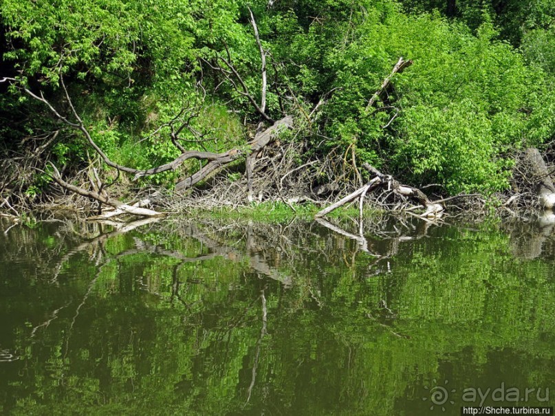 Двое в лодке