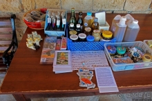 Общепризнанная суверенная территория... кошек на Кипре