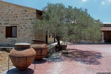 Общепризнанная суверенная территория... кошек на Кипре