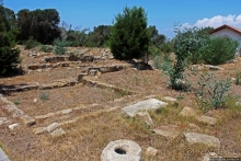 Общепризнанная суверенная территория... кошек на Кипре