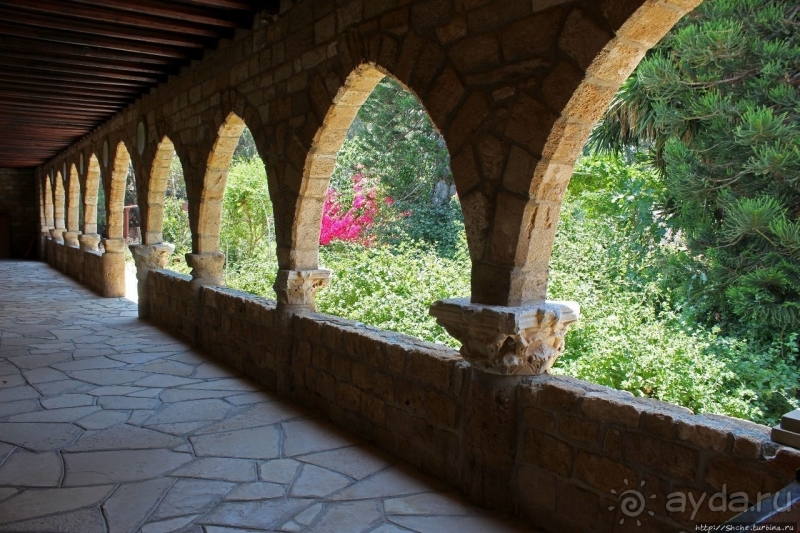 Общепризнанная суверенная территория... кошек на Кипре