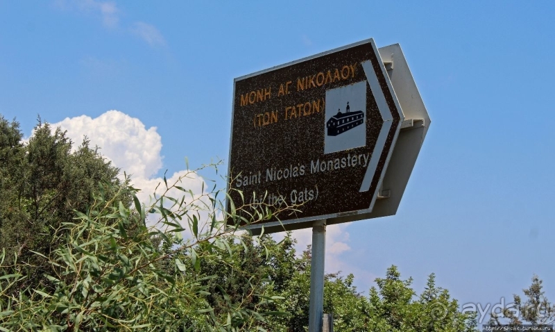 Общепризнанная суверенная территория... кошек на Кипре