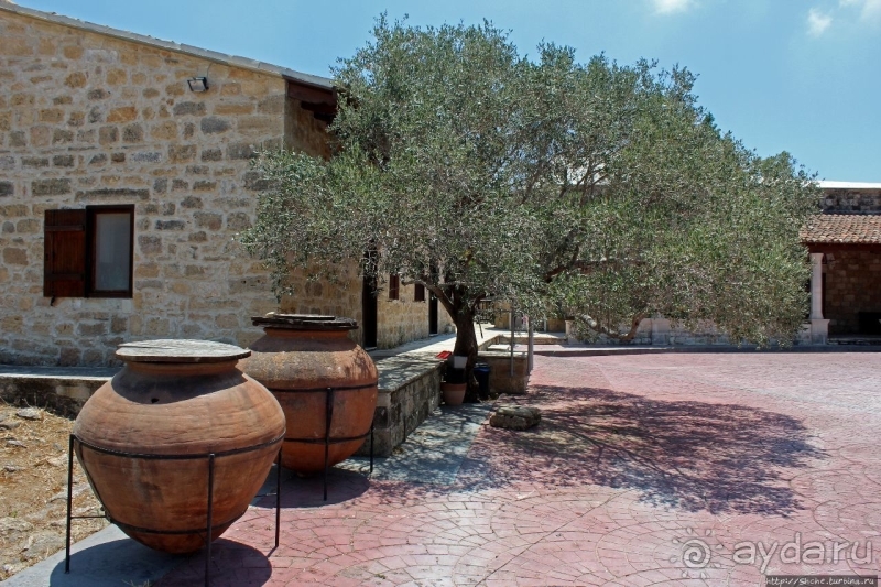 Общепризнанная суверенная территория... кошек на Кипре