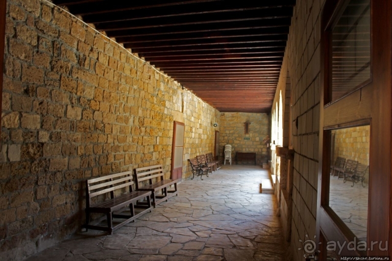 Общепризнанная суверенная территория... кошек на Кипре