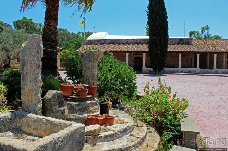 Общепризнанная суверенная территория... кошек на Кипре