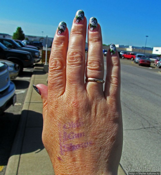 Священное право на оружие! "Ohio gun shows" в Уоррене