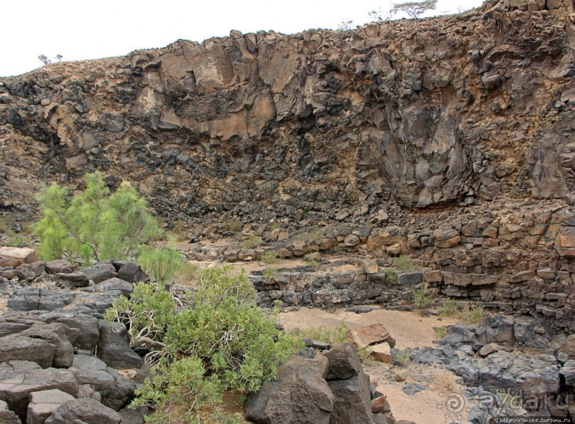 Canyon Dimbia — здесь начинается раскол Африки