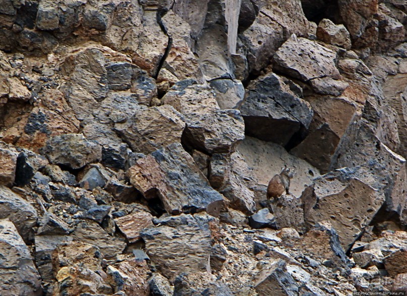 Canyon Dimbia — здесь начинается раскол Африки