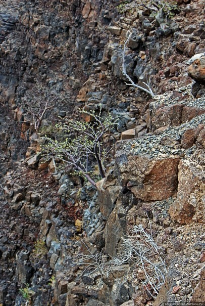 Canyon Dimbia — здесь начинается раскол Африки