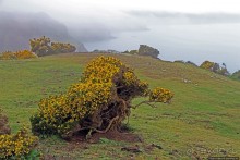 "Дыра Дьявола" — прошлое и настоящее