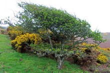 "Дыра Дьявола" — прошлое и настоящее