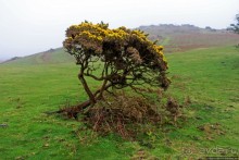 "Дыра Дьявола" — прошлое и настоящее