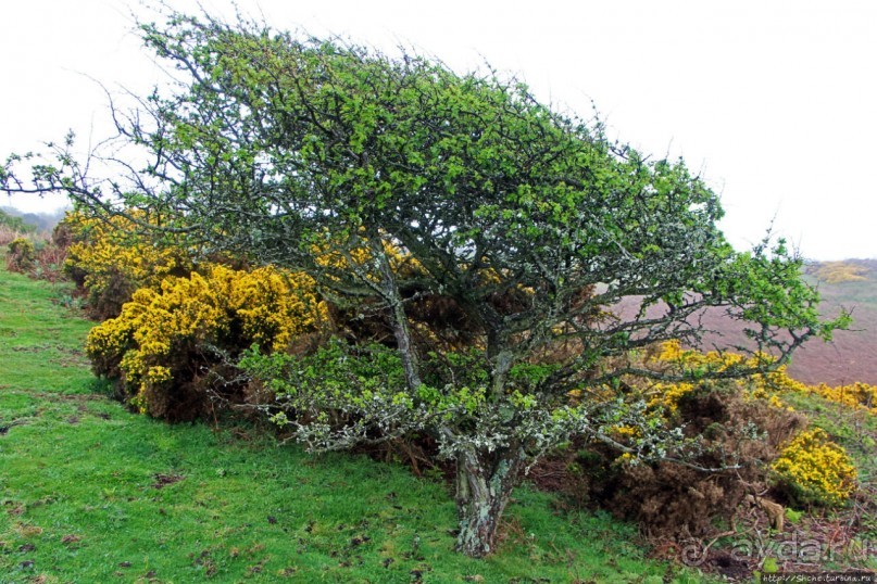 "Дыра Дьявола" — прошлое и настоящее