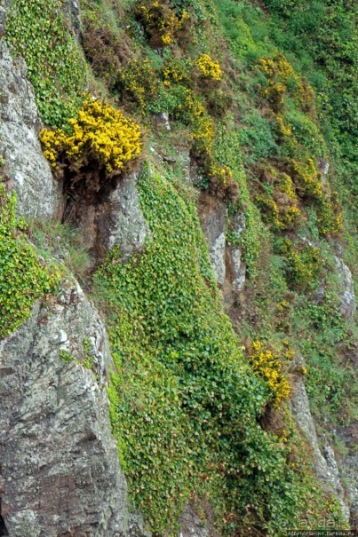 "Дыра Дьявола" — прошлое и настоящее