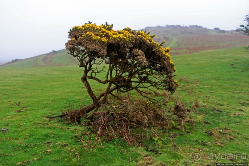 "Дыра Дьявола" — прошлое и настоящее