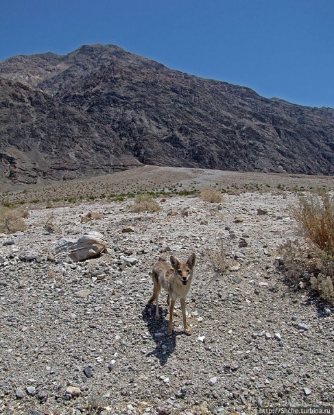 Долина Смерти. Регион Иньо (Inyo) — безмолвная красота