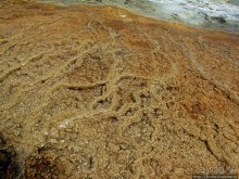 Пространственно-цветовые вариации Мамонтовых источников