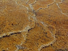 Пространственно-цветовые вариации Мамонтовых источников