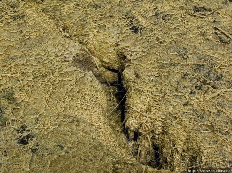 Пространственно-цветовые вариации Мамонтовых источников