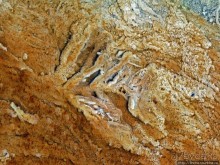 Пространственно-цветовые вариации Мамонтовых источников