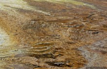 Пространственно-цветовые вариации Мамонтовых источников