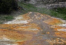 Пространственно-цветовые вариации Мамонтовых источников