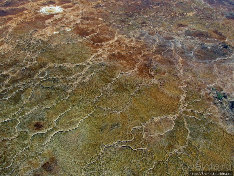 Пространственно-цветовые вариации Мамонтовых источников