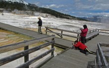 Пространственно-цветовые вариации Мамонтовых источников