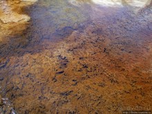 Пространственно-цветовые вариации Мамонтовых источников