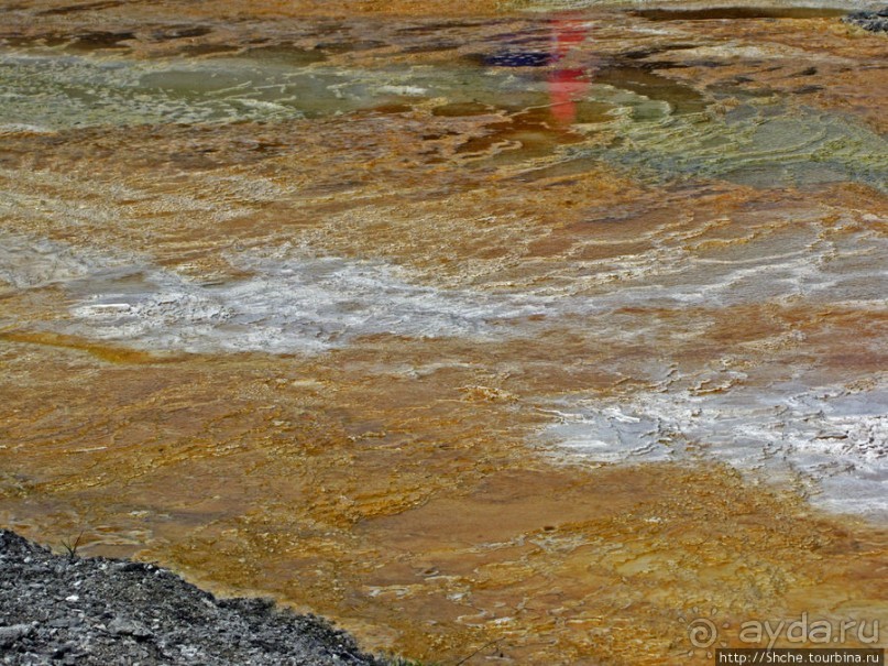 Пространственно-цветовые вариации Мамонтовых источников