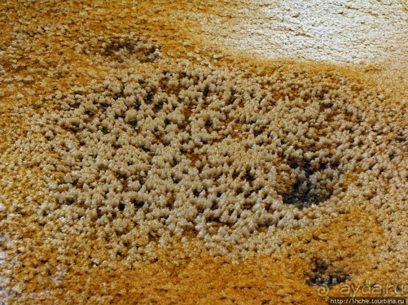 Пространственно-цветовые вариации Мамонтовых источников