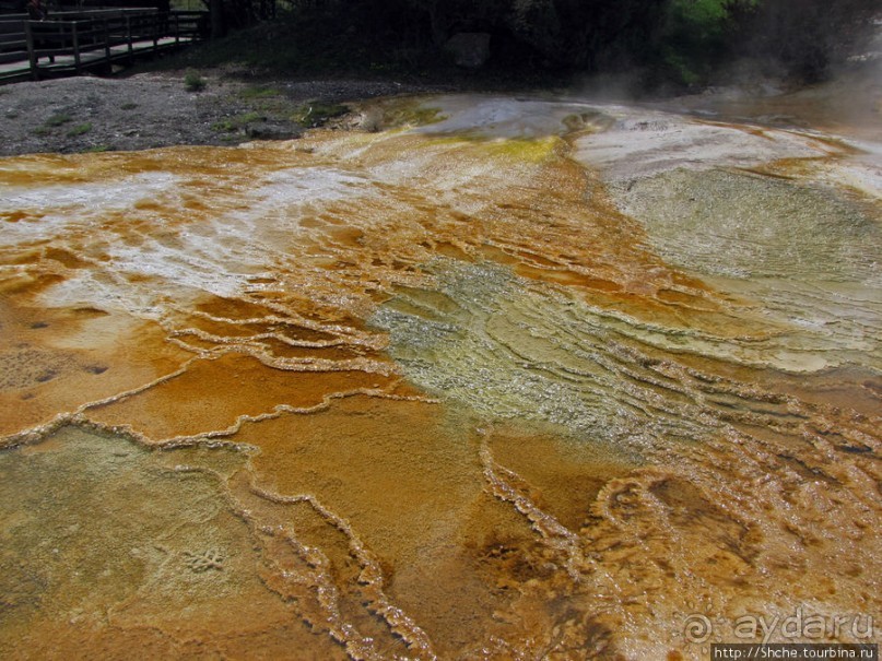 Пространственно-цветовые вариации Мамонтовых источников