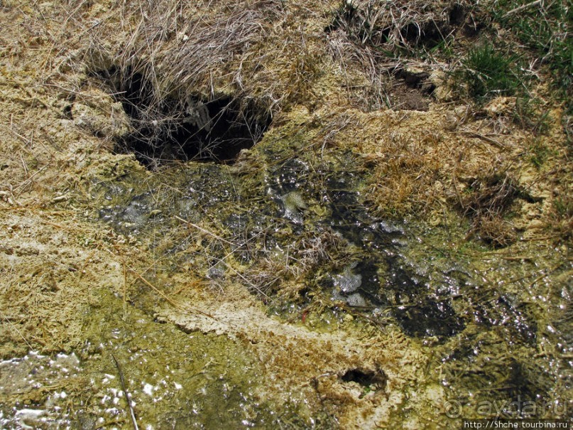 Пространственно-цветовые вариации Мамонтовых источников