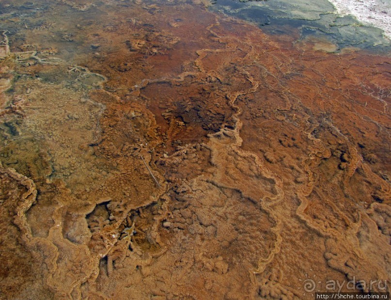 Пространственно-цветовые вариации Мамонтовых источников