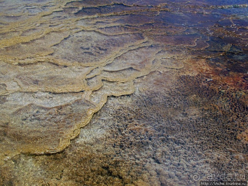 Пространственно-цветовые вариации Мамонтовых источников