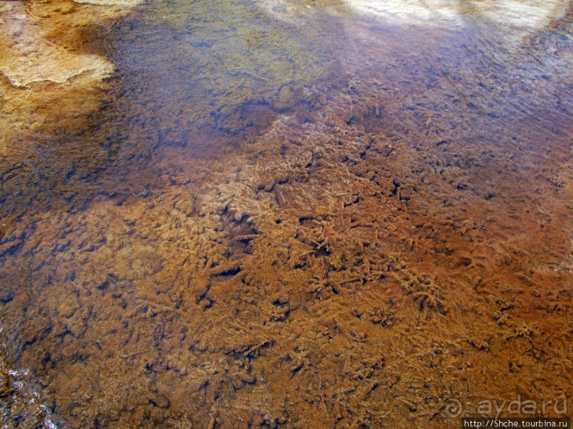 Пространственно-цветовые вариации Мамонтовых источников