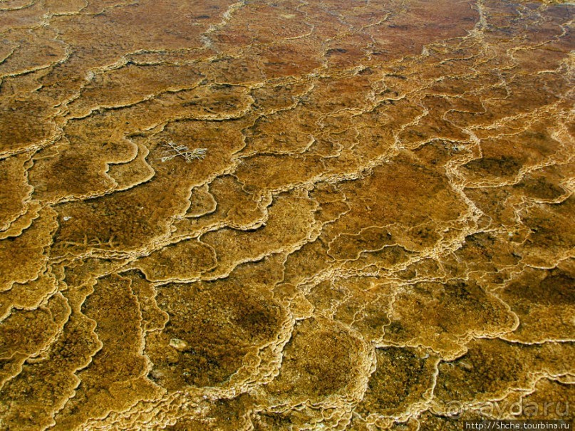 Пространственно-цветовые вариации Мамонтовых источников