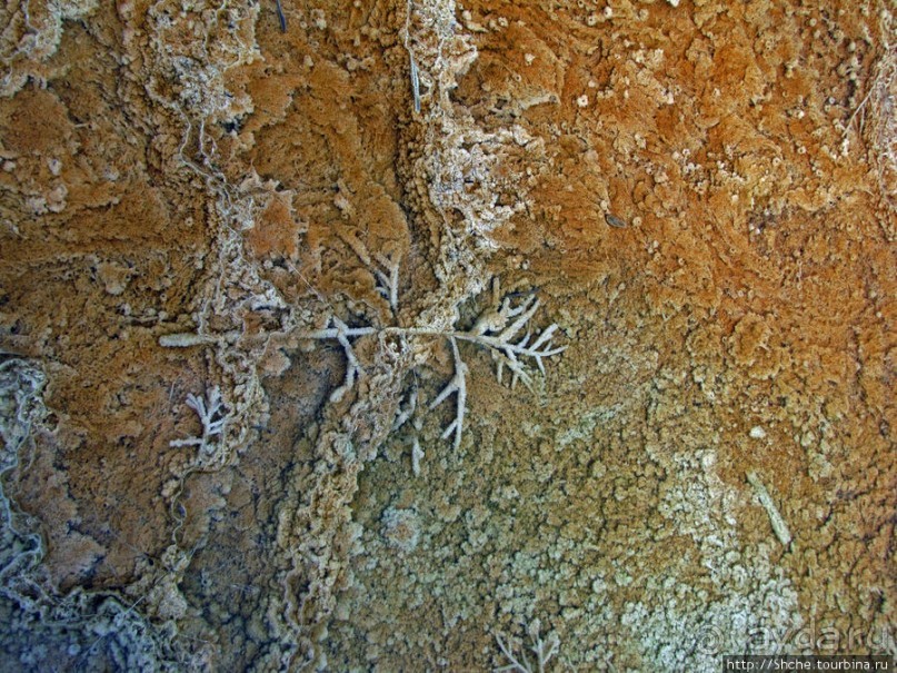 Пространственно-цветовые вариации Мамонтовых источников