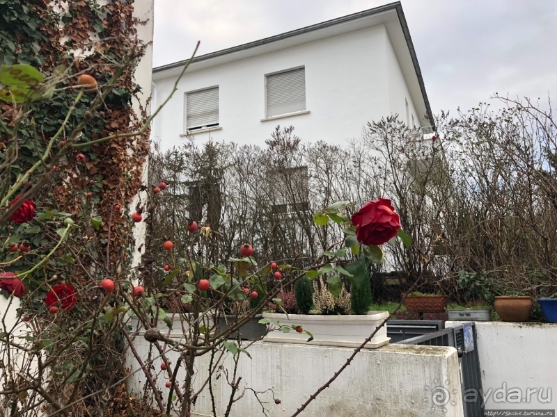 Предрождественский автопробег. День 7 Достигли крайней точки 